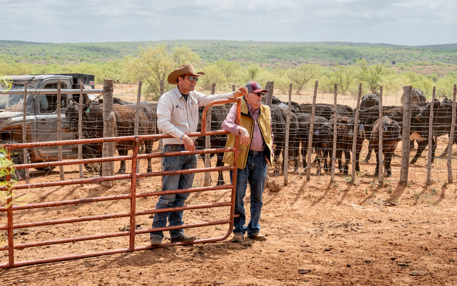 Rugged Style, Ranch-Proven Quality